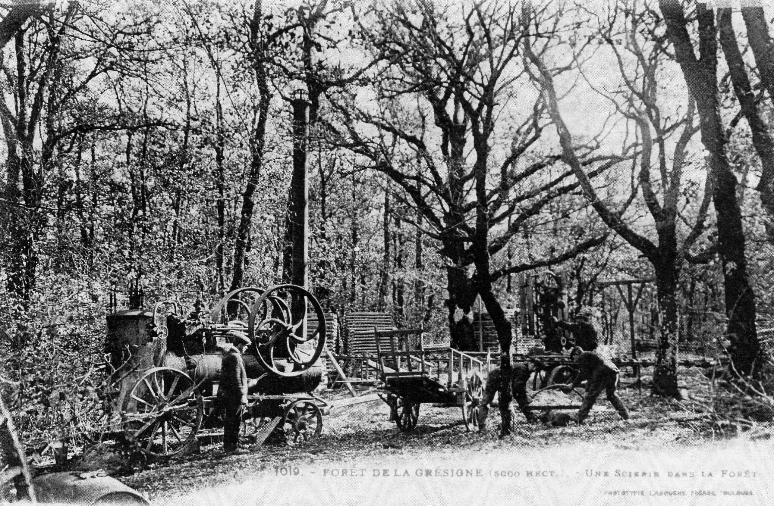 une scierie ancienne en forêt de Grésigne